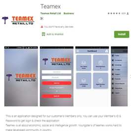 Teamex