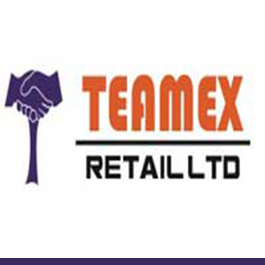 www.teamex.in