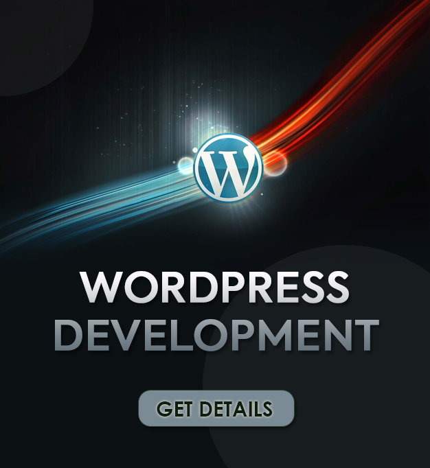 wordpress development