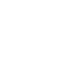 Ternado Software Java Logo